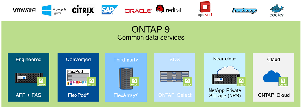 netapp-ontap9-form